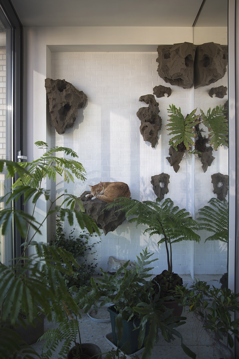 O house renovation Atelier LaiKhi