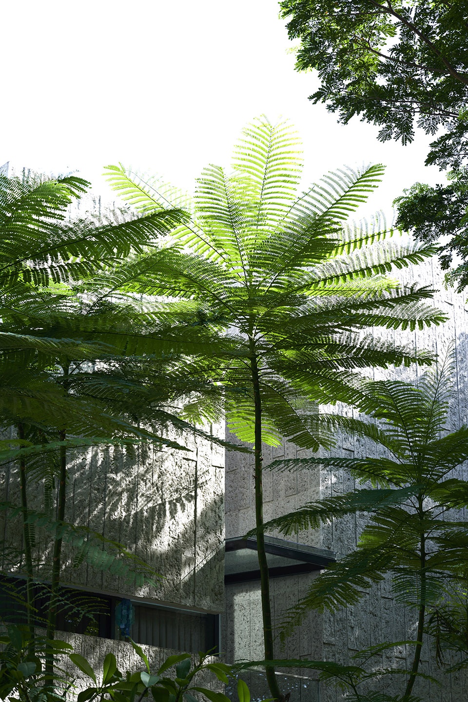The Passive Design Lab RAD Architecture