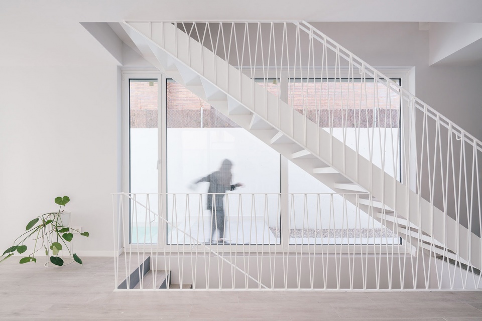 Galgo House Murado Elvira Arquitectos
