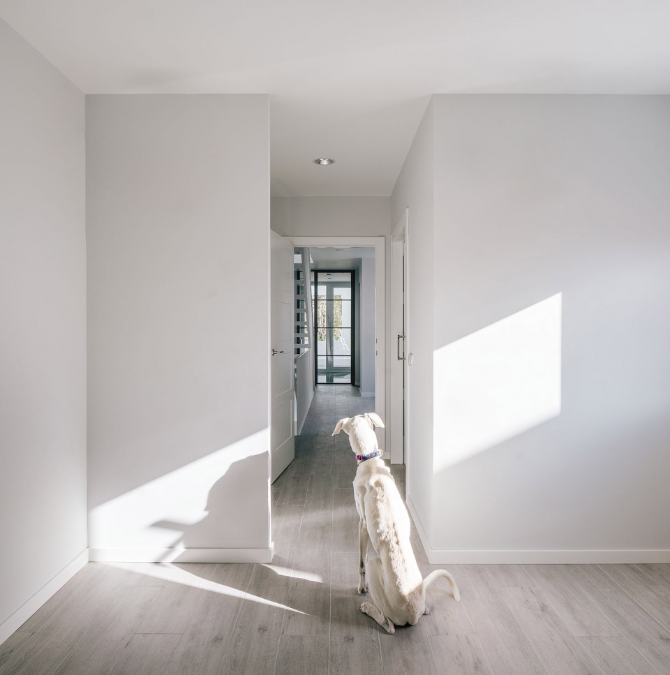 Galgo House Murado Elvira Arquitectos