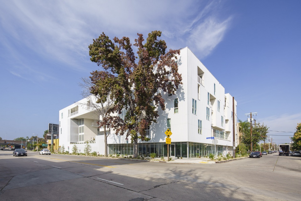 11NOHO Brooks Scarpa