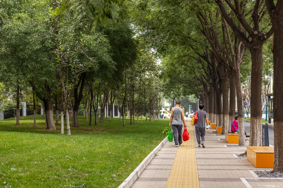 Multidisciplinary Renovation for Xihongmen Venture Street LA Design Group