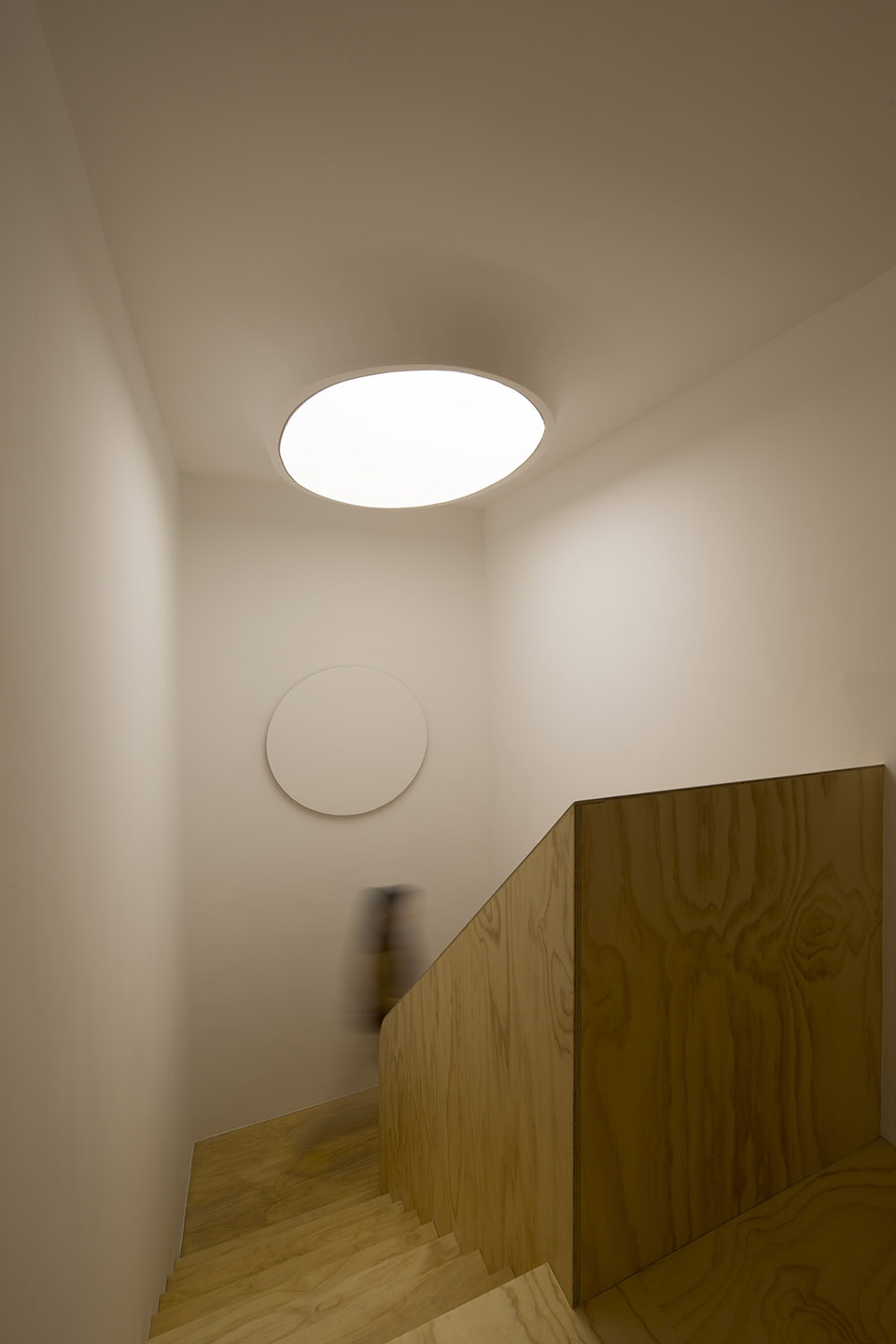 Sleeping lab Arch Atelier d More