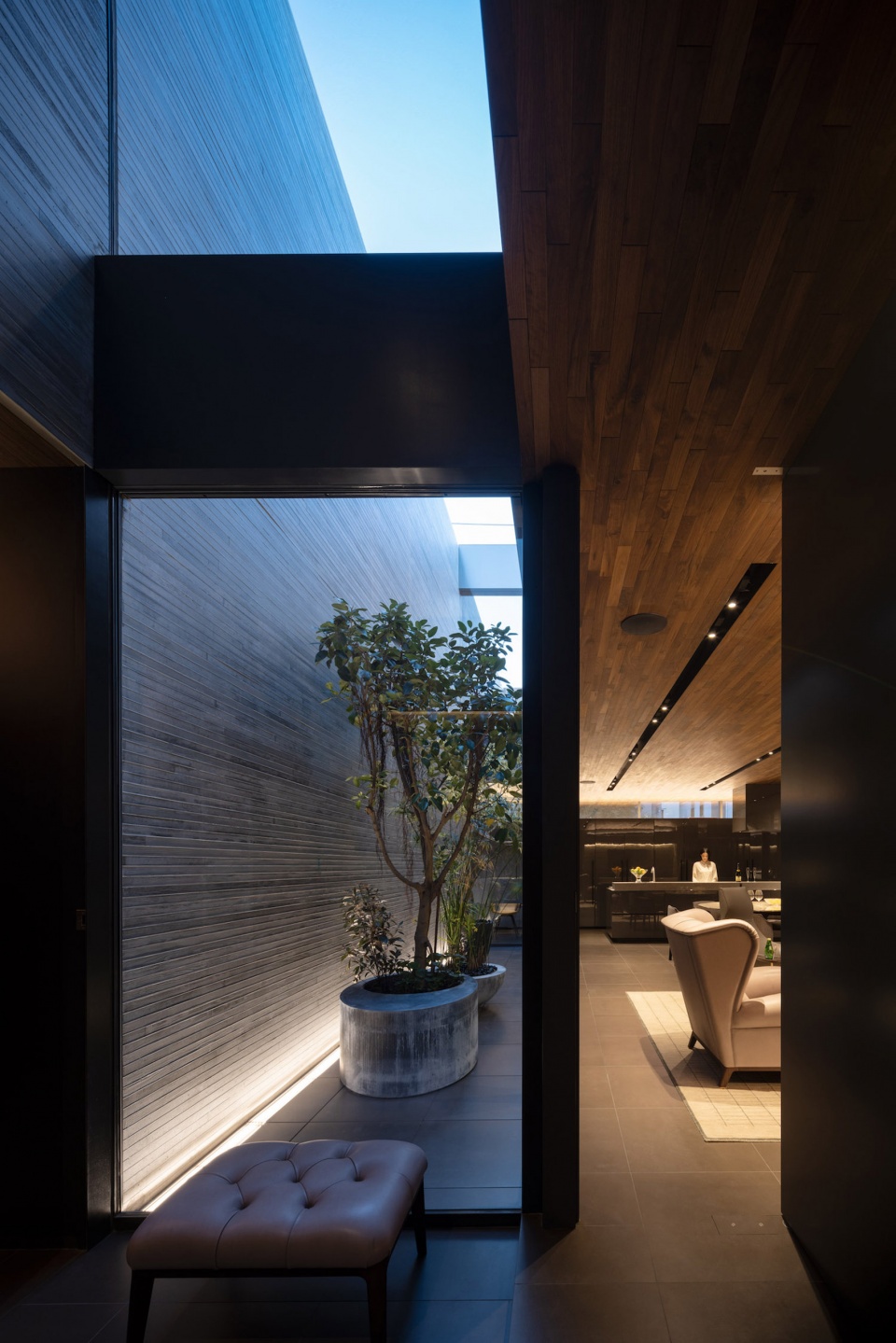 timeless tokyo by apollo