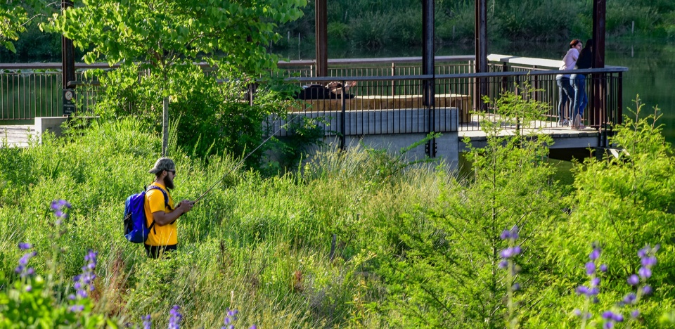 2021 asla Duke University Water Reclamation Pond Nelson Byrd Woltz Landscape Architects