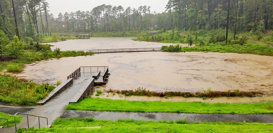 2021 asla Duke University Water Reclamation Pond Nelson Byrd Woltz Landscape Architects