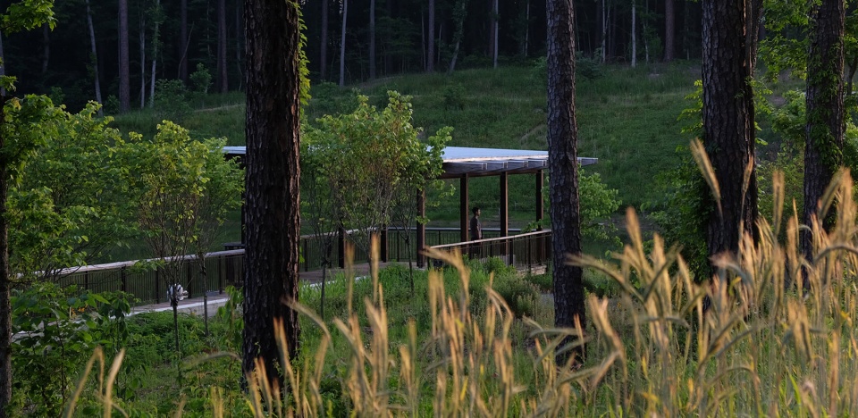 2021 asla Duke University Water Reclamation Pond Nelson Byrd Woltz Landscape Architects