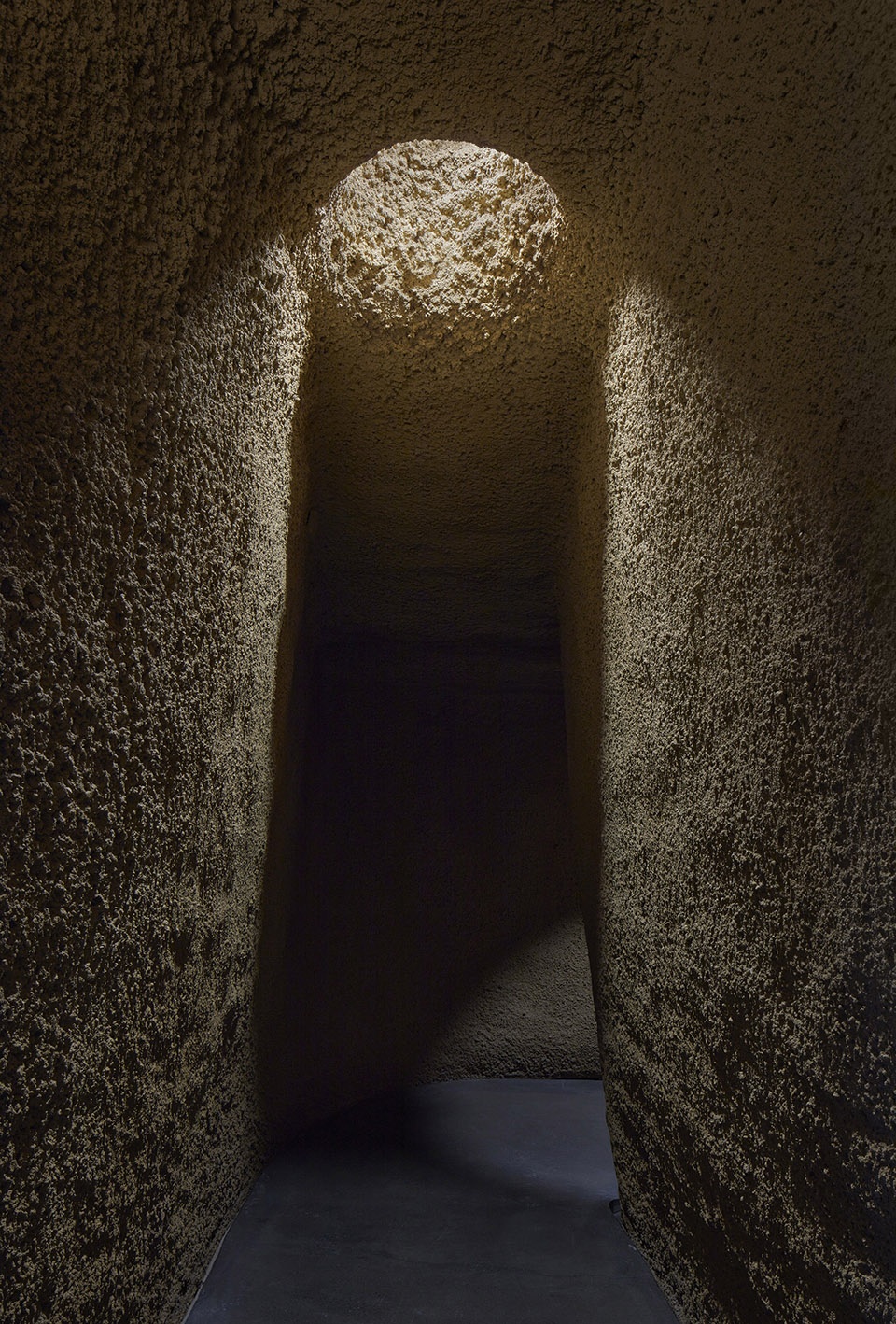 new montreal insectarium by kuehn malvezzi