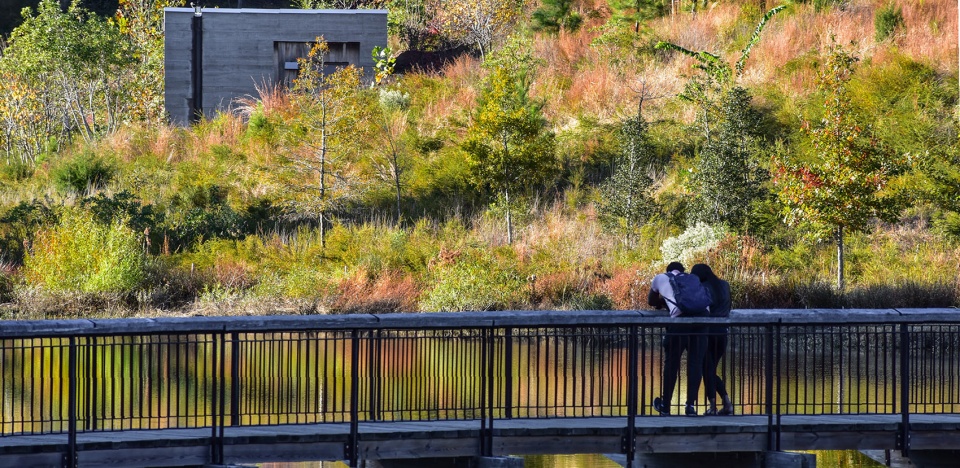 2021 asla Duke University Water Reclamation Pond Nelson Byrd Woltz Landscape Architects