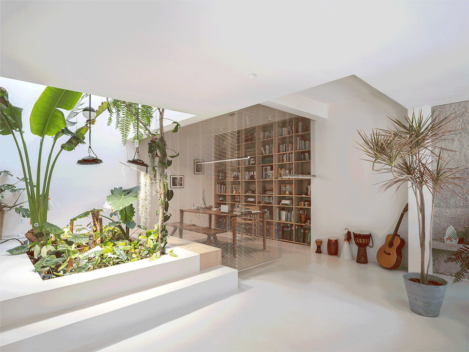 living with plants by manmandesign