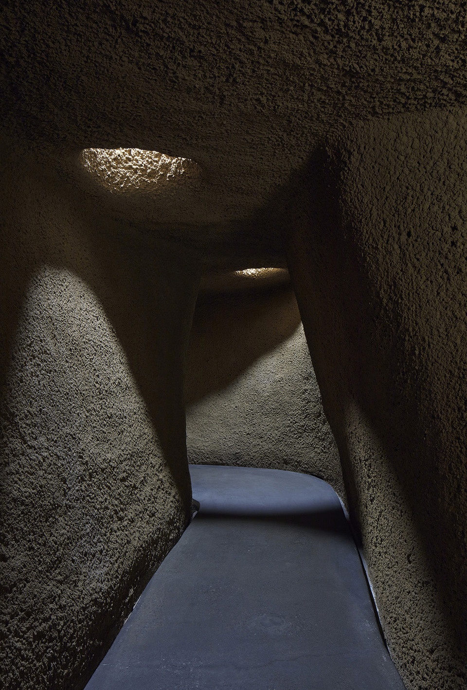 new montreal insectarium by kuehn malvezzi 1
