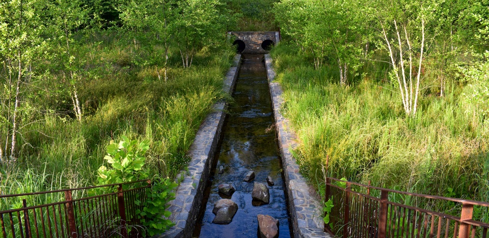 2021 asla Duke University Water Reclamation Pond Nelson Byrd Woltz Landscape Architects