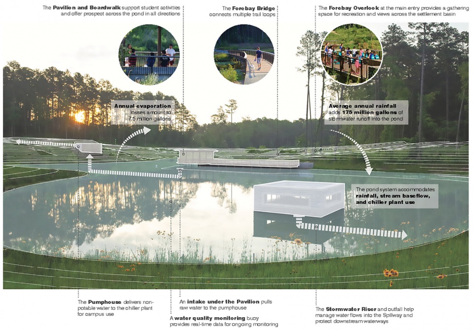 2021 asla Duke University Water Reclamation Pond Nelson Byrd Woltz Landscape Architects