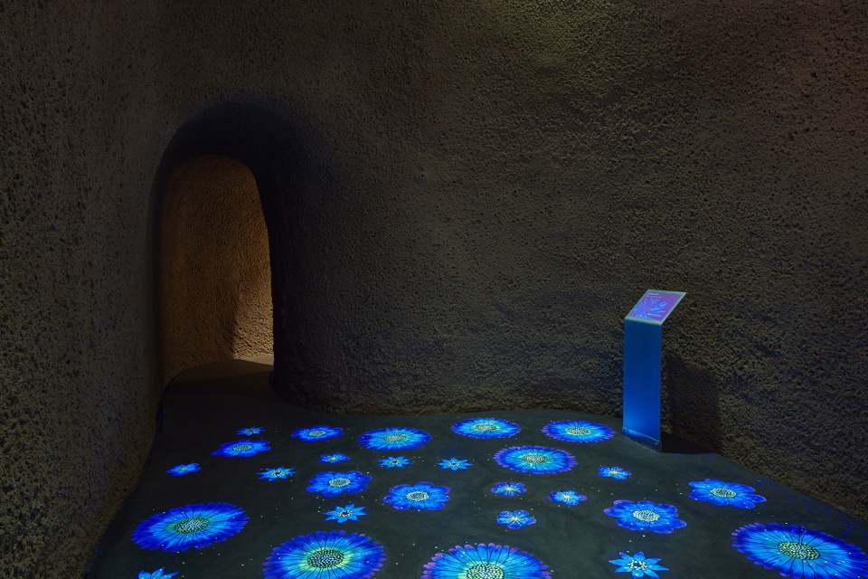 new montreal insectarium by kuehn malvezzi