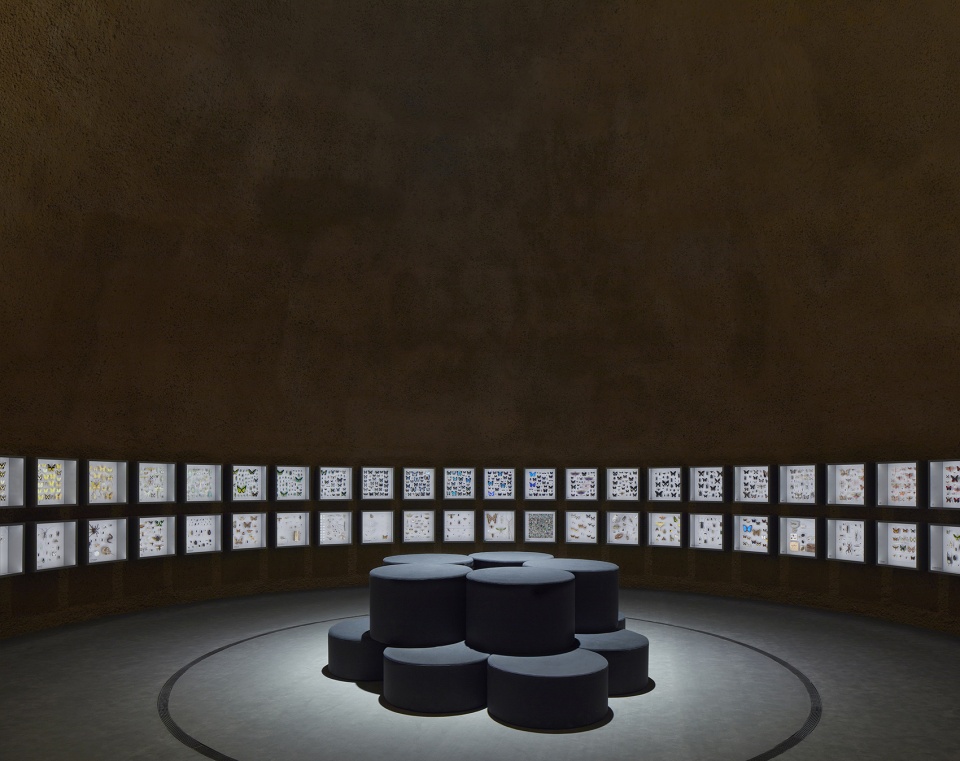 new montreal insectarium by kuehn malvezzi