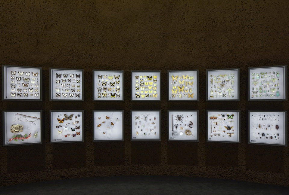 new montreal insectarium by kuehn malvezzi