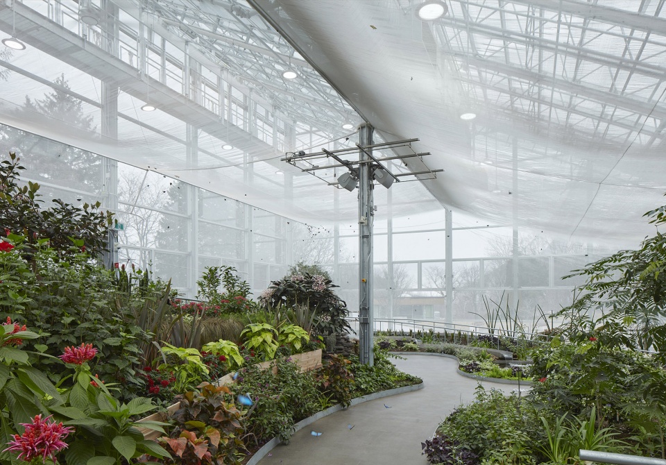 new montreal insectarium by kuehn malvezzi