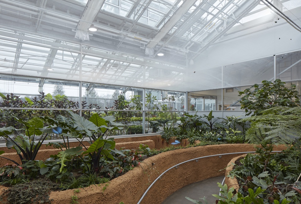 new montreal insectarium by kuehn malvezzi