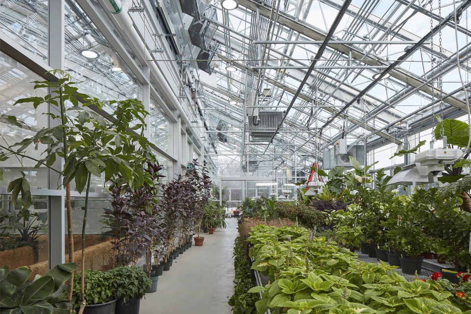 new montreal insectarium by kuehn malvezzi
