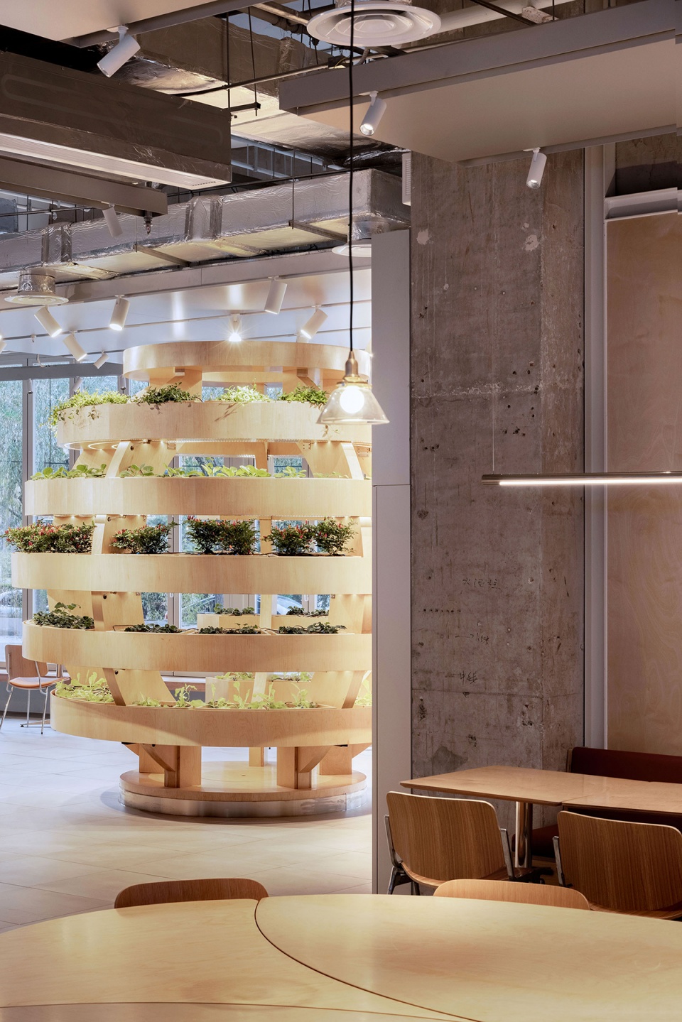original chicken beijing by bloomdesign