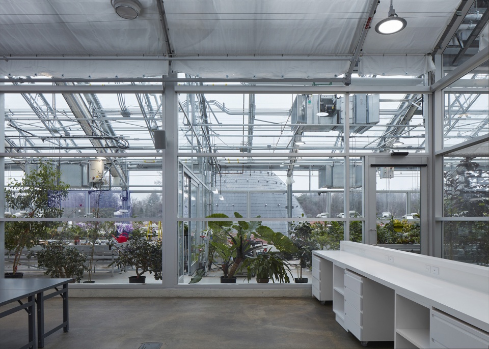 new montreal insectarium by kuehn malvezzi