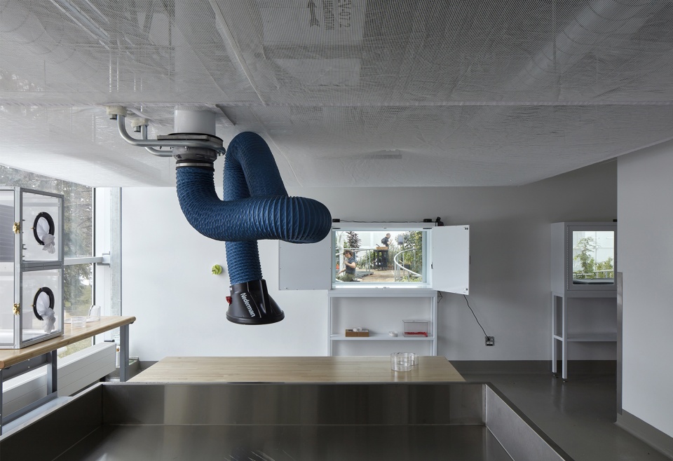 new montreal insectarium by kuehn malvezzi