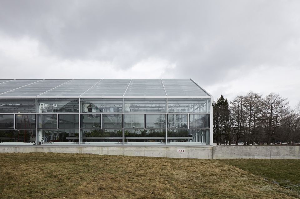 new montreal insectarium by kuehn malvezzi