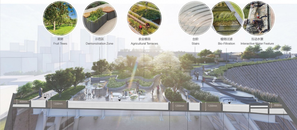 The Landscape Scheme of Shenzhen Natural History Museum BH Architects3XNZhubo