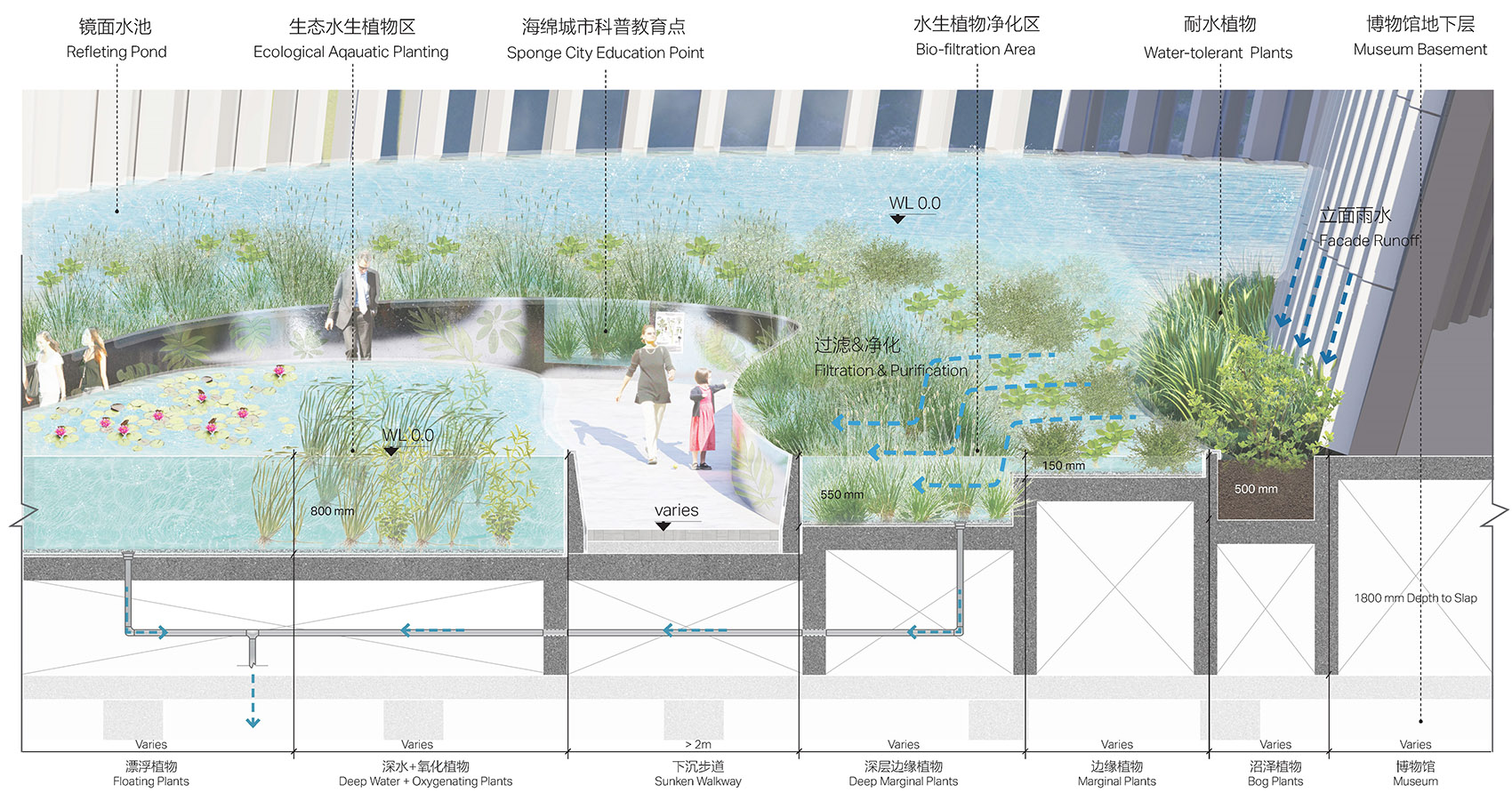 The Landscape Scheme of Shenzhen Natural History Museum BH Architects3XNZhubo