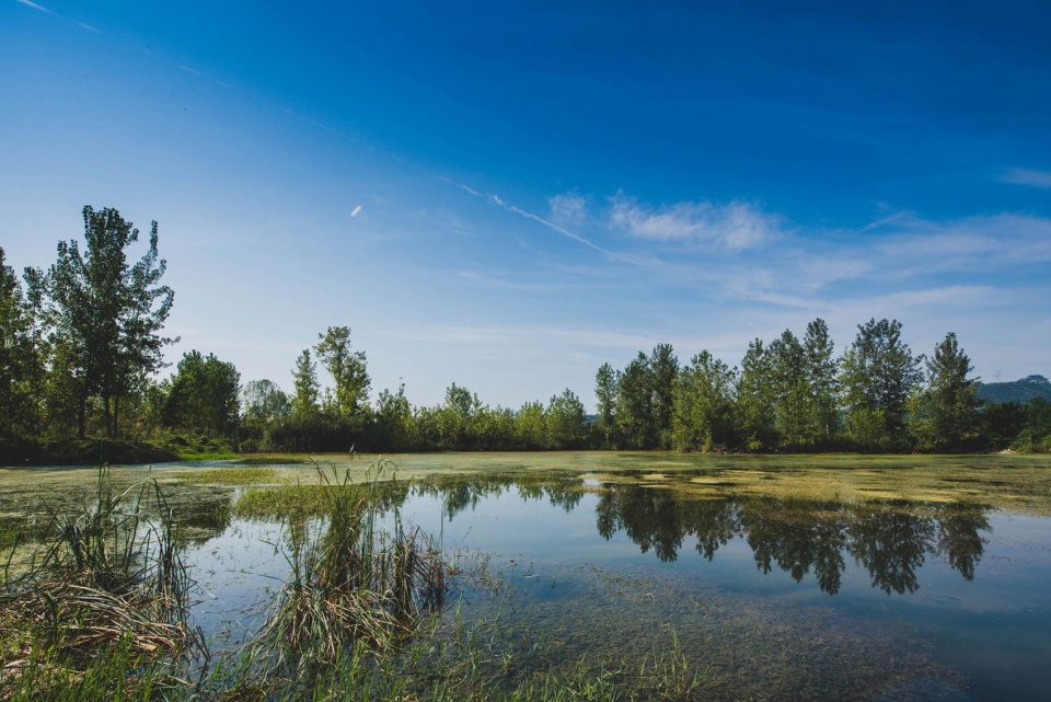 yichang huangbai river wetland park china by hangzhou landscape architecture design institute