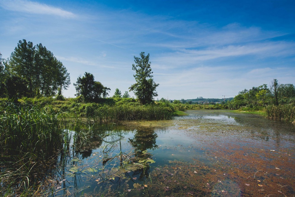 yichang huangbai river wetland park china by hangzhou landscape architecture design institute