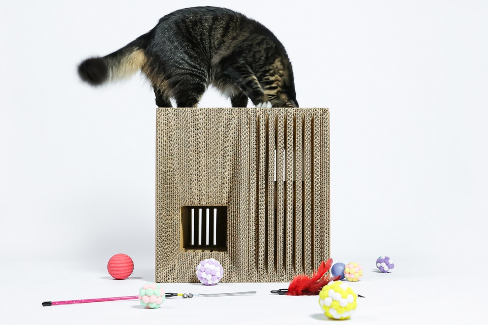 cat cubic series by lei du