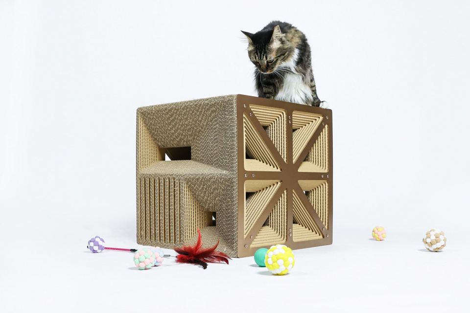 cat cubic series by lei du
