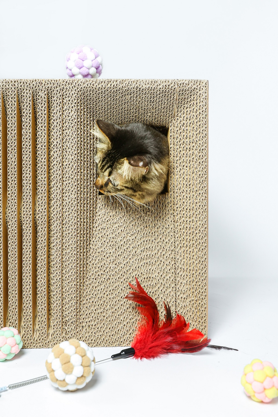 cat cubic series by lei du