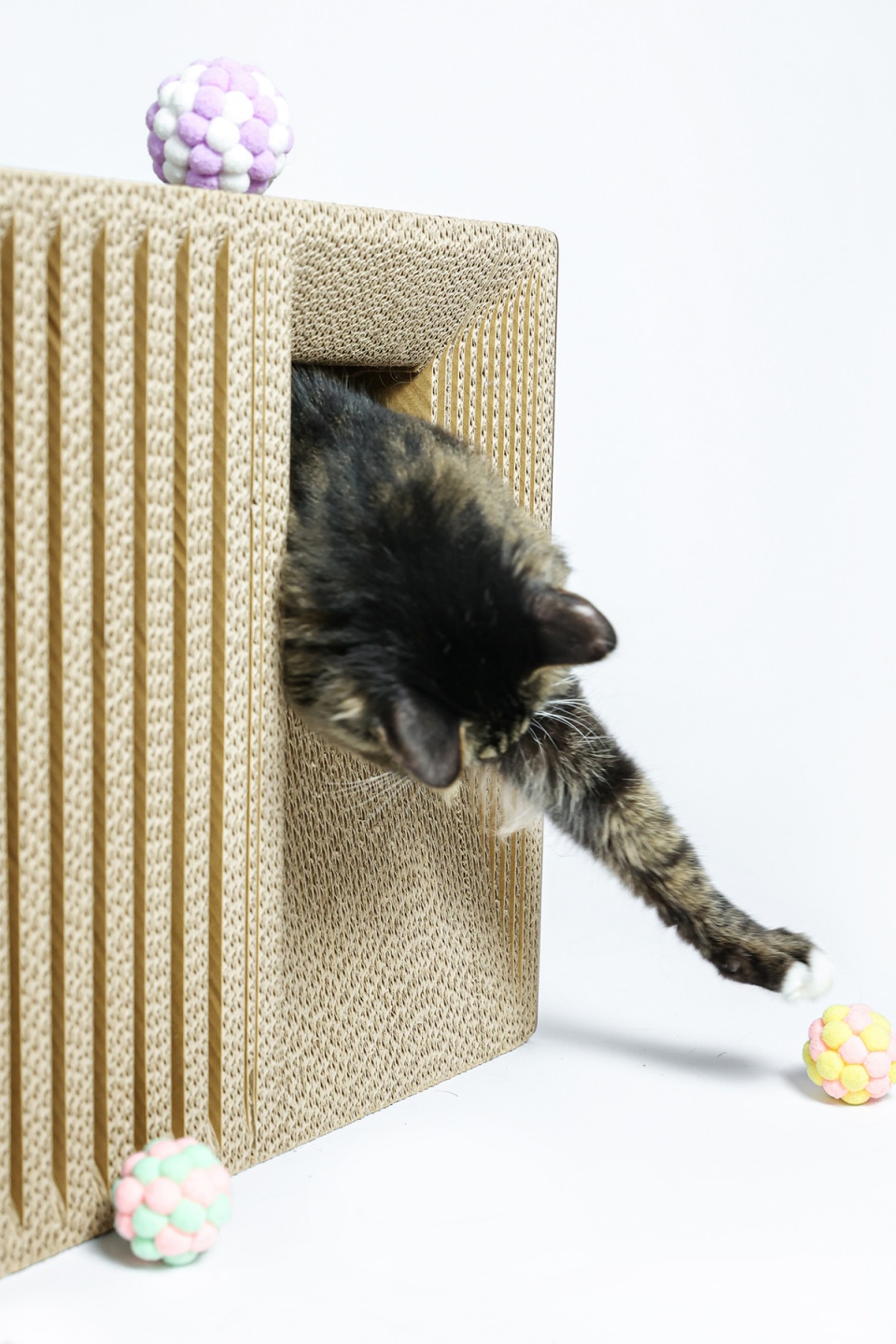 cat cubic series by lei du