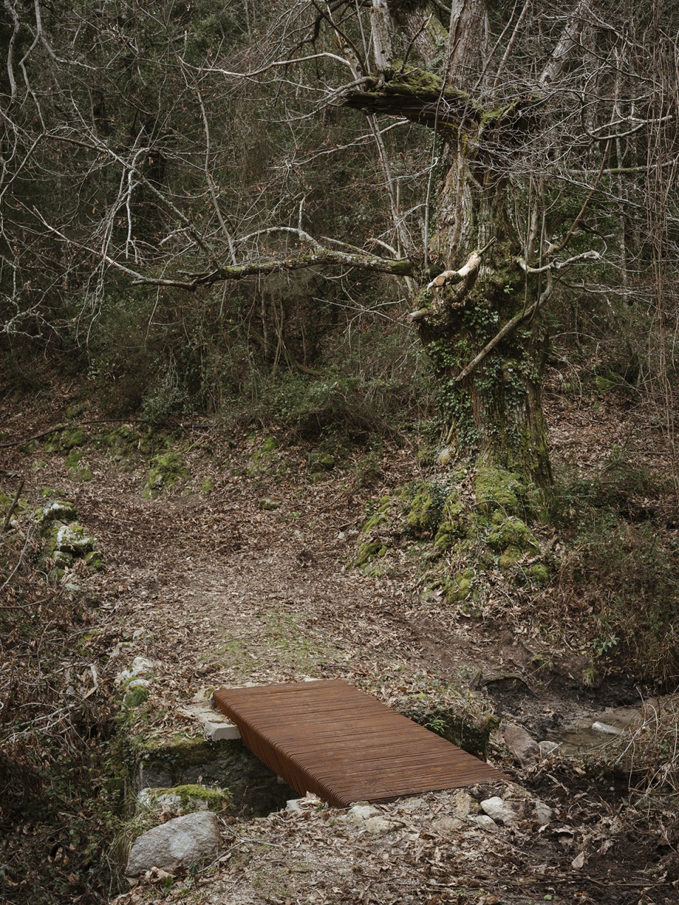 mare a mare trails footbridges by orma architettura