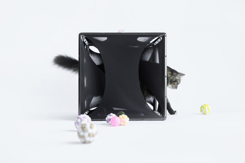 cat cubic series by lei du