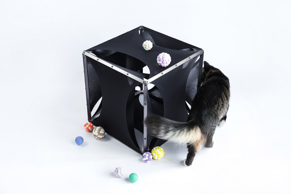 cat cubic series by lei du