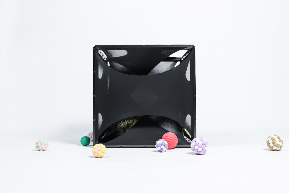 cat cubic series by lei du