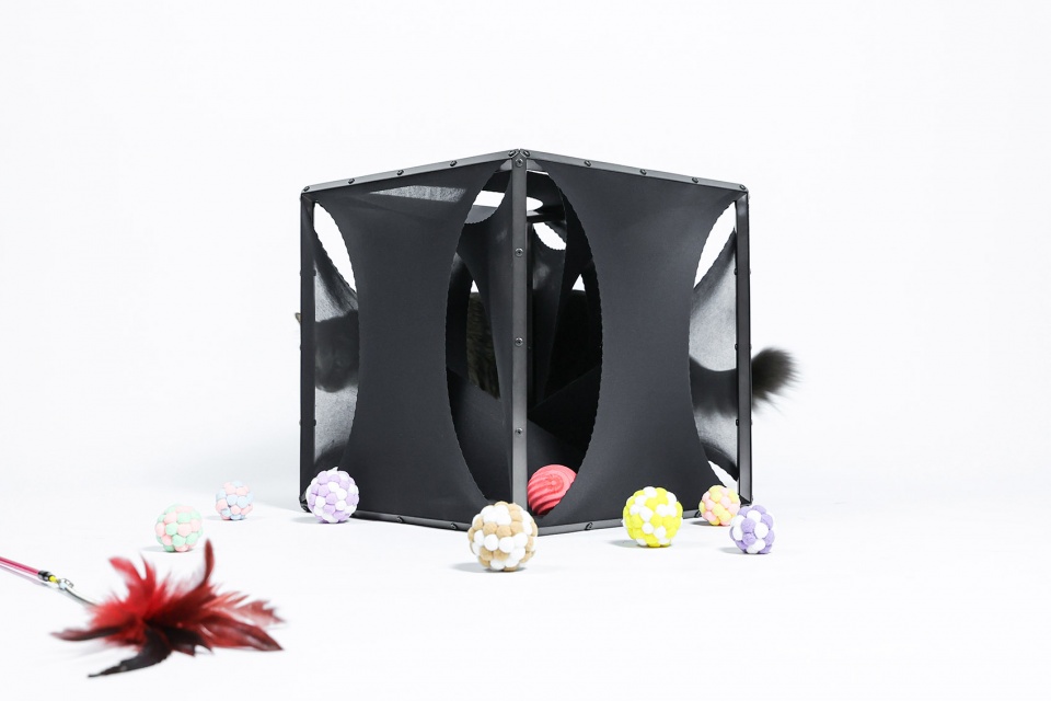 cat cubic series by lei du