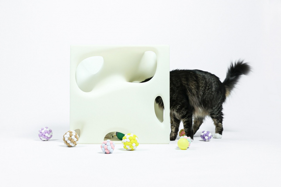 cat cubic series by lei du