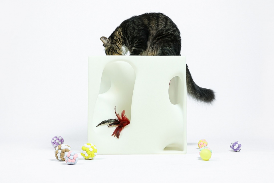 cat cubic series by lei du