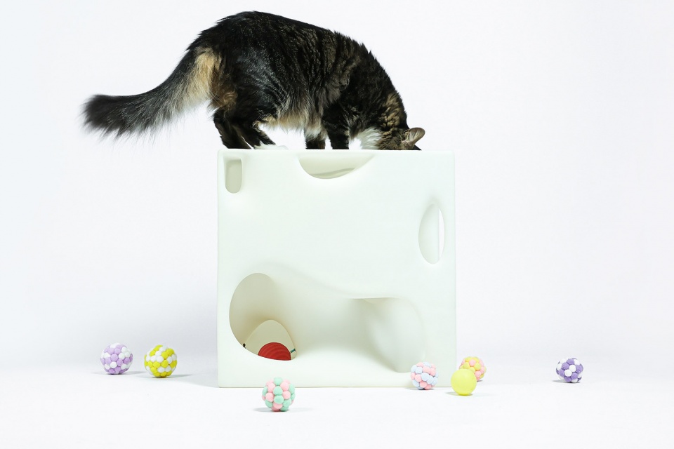 cat cubic series by lei du