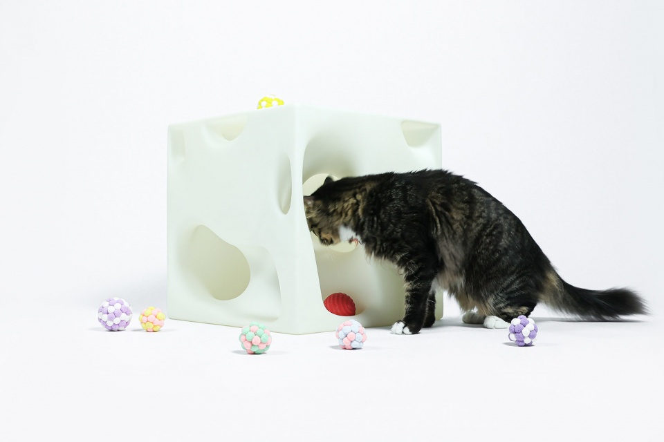 cat cubic series by lei du