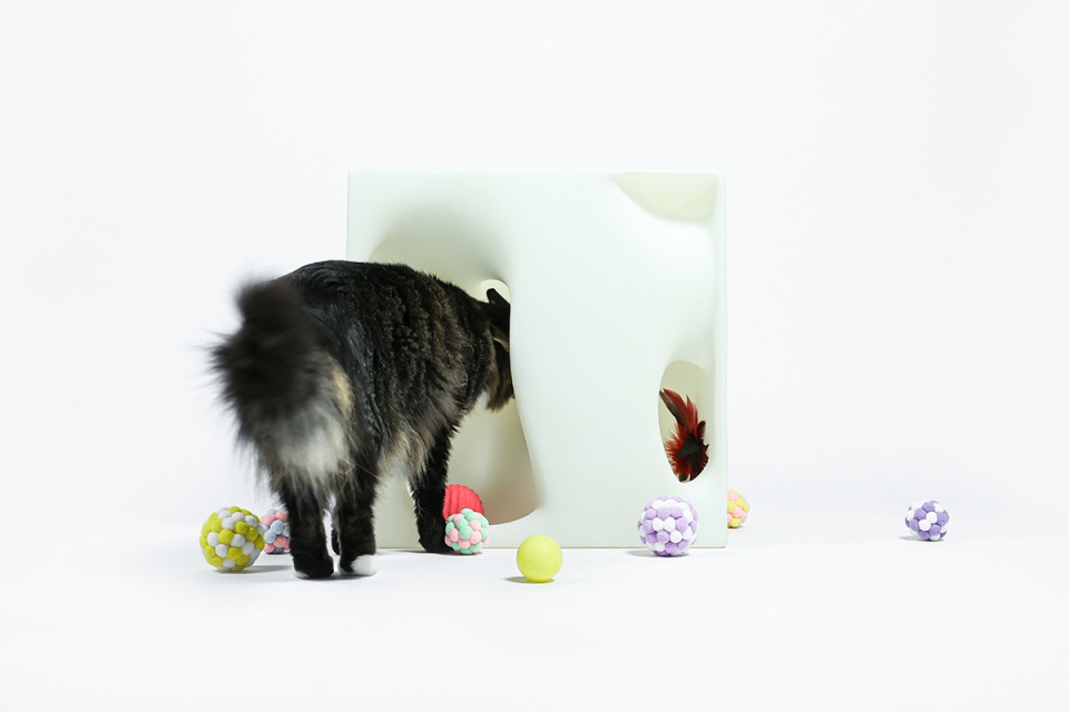 cat cubic series by lei du