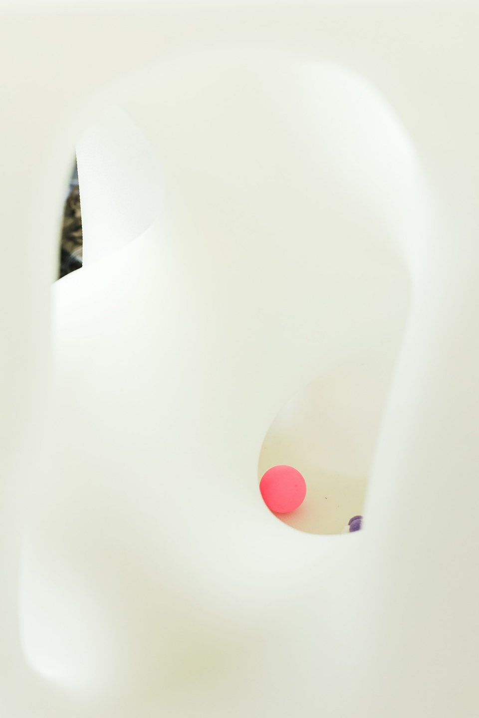cat cubic series by lei du