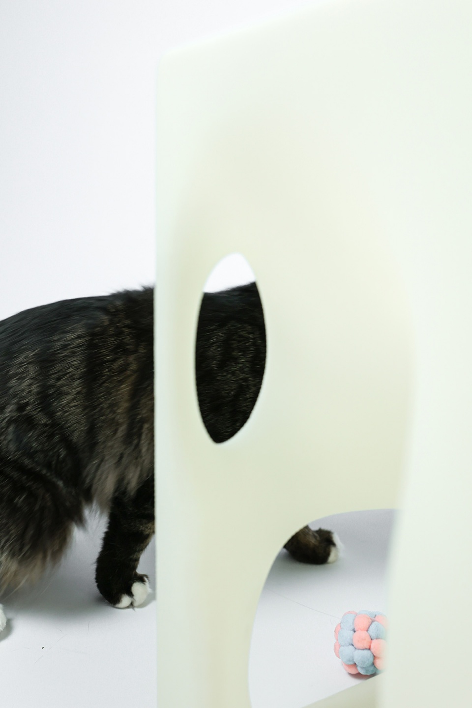 cat cubic series by lei du