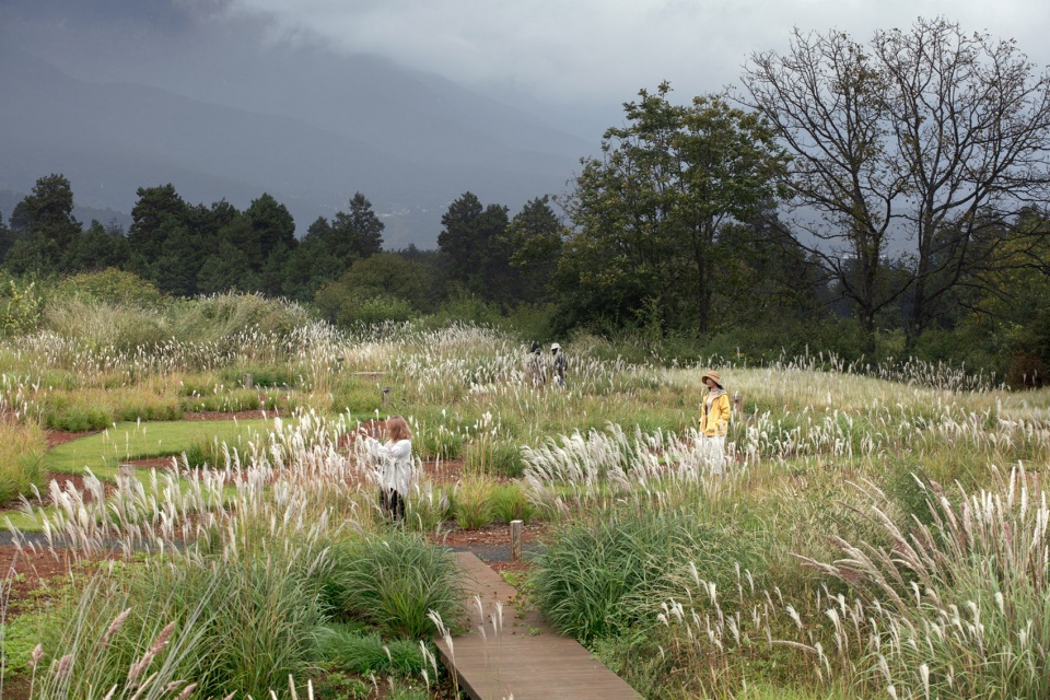 Wilderness Garden and Amphitheater Zscape