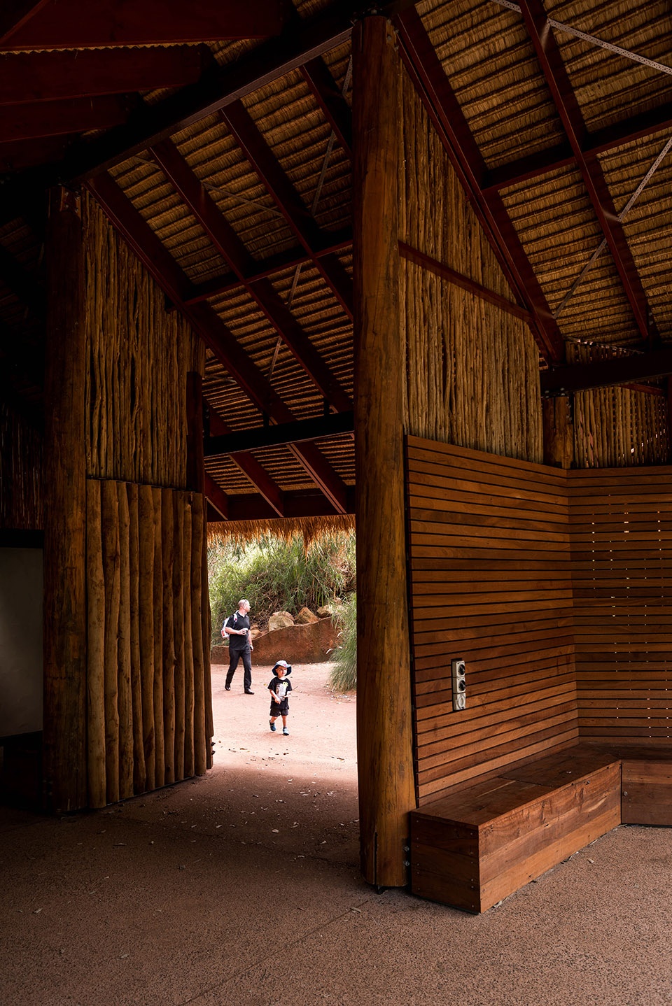 perth zoo lion exhibit australia by iredale pedersen hook