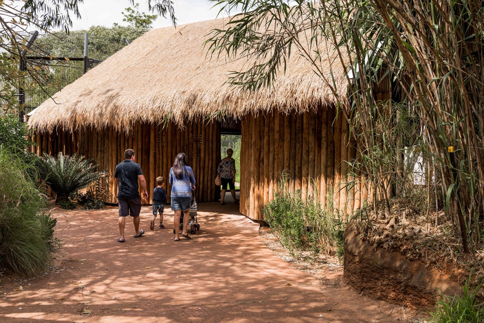 perth zoo lion exhibit australia by iredale pedersen hook